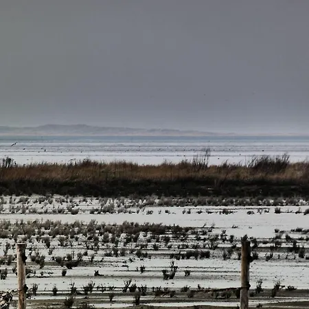 Ferienappartment Norderney - Insel Auf Dem Festland * 纽哈灵吉塞尔
