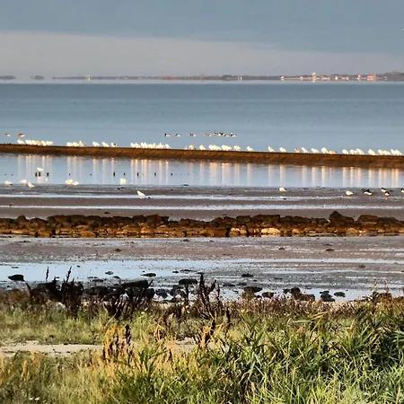 Ferienappartment Norderney - Insel Auf Dem Festland *