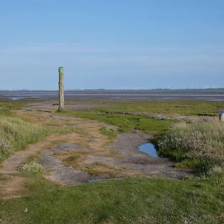 Ferienappartment Norderney - Insel Auf Dem Festland * 纽哈灵吉塞尔
